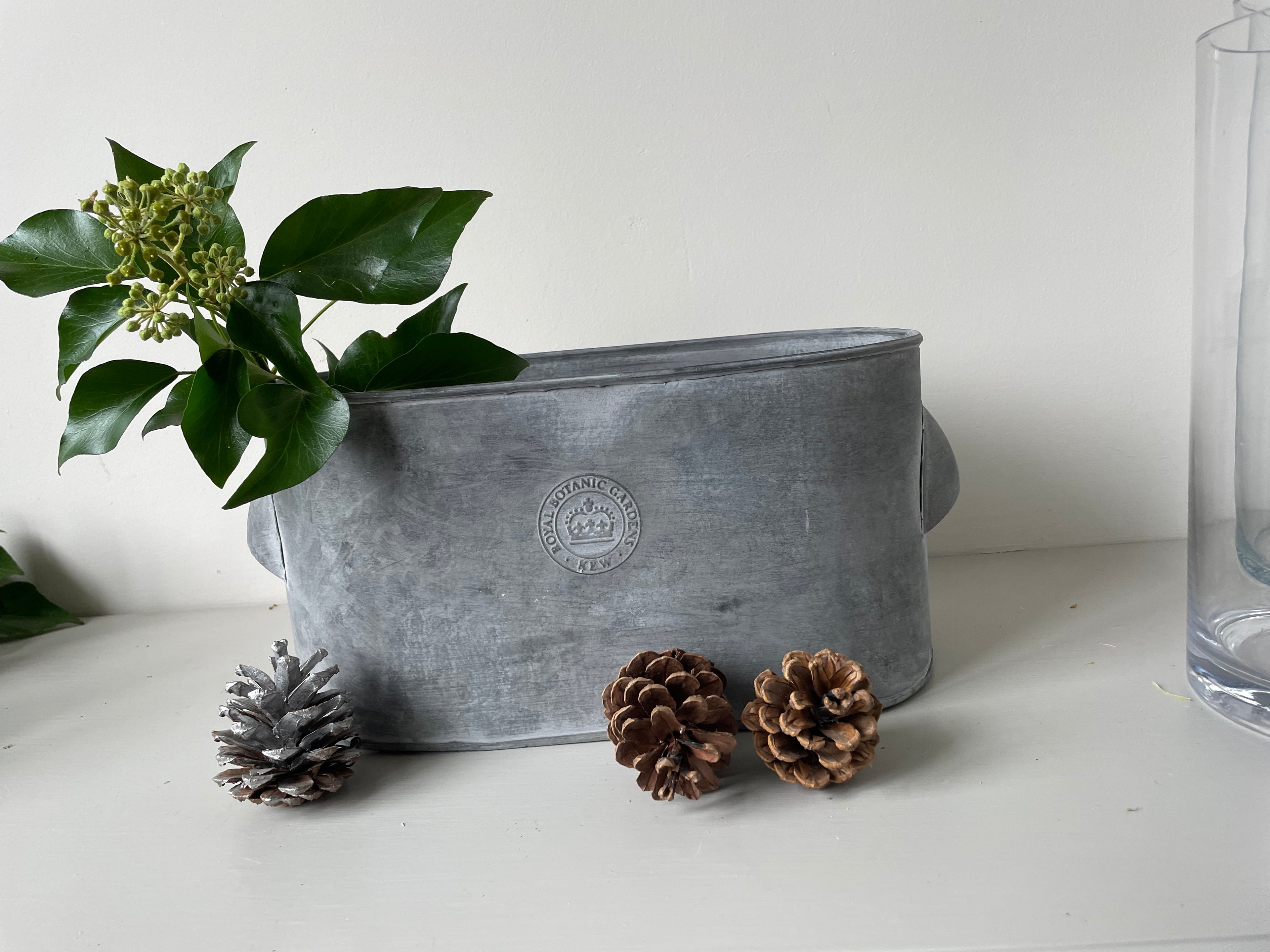 Kew Gardens Zinc Planter |Oval Metal Plant Pot|With handles