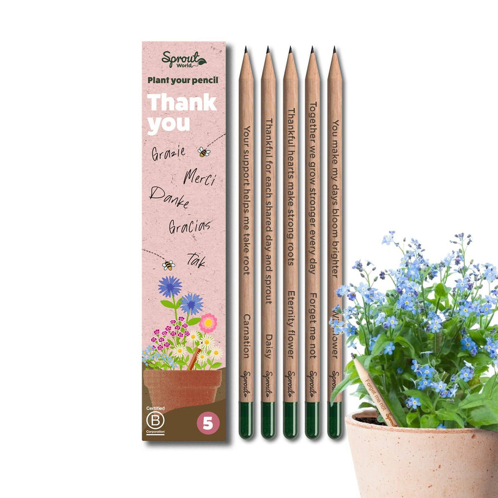 SproutWorld Plantable Pencils | Thank you · 5 pack