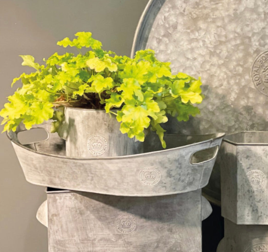 KEW GARDENS ZINC OVAL GARDEN TRAY