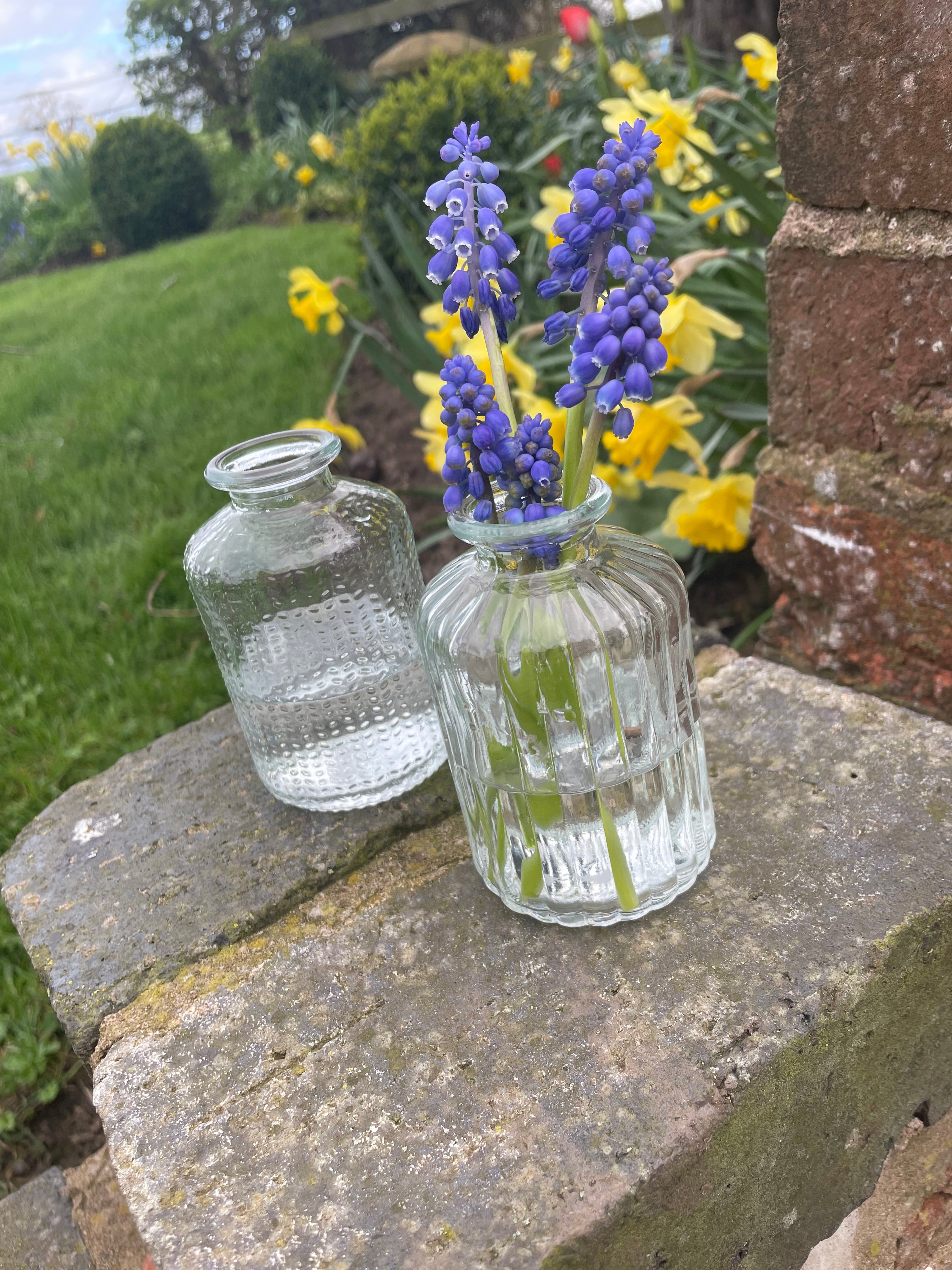 Textured Glass Bud Vases | Herringbone & Stripe | Clear or Spring Green