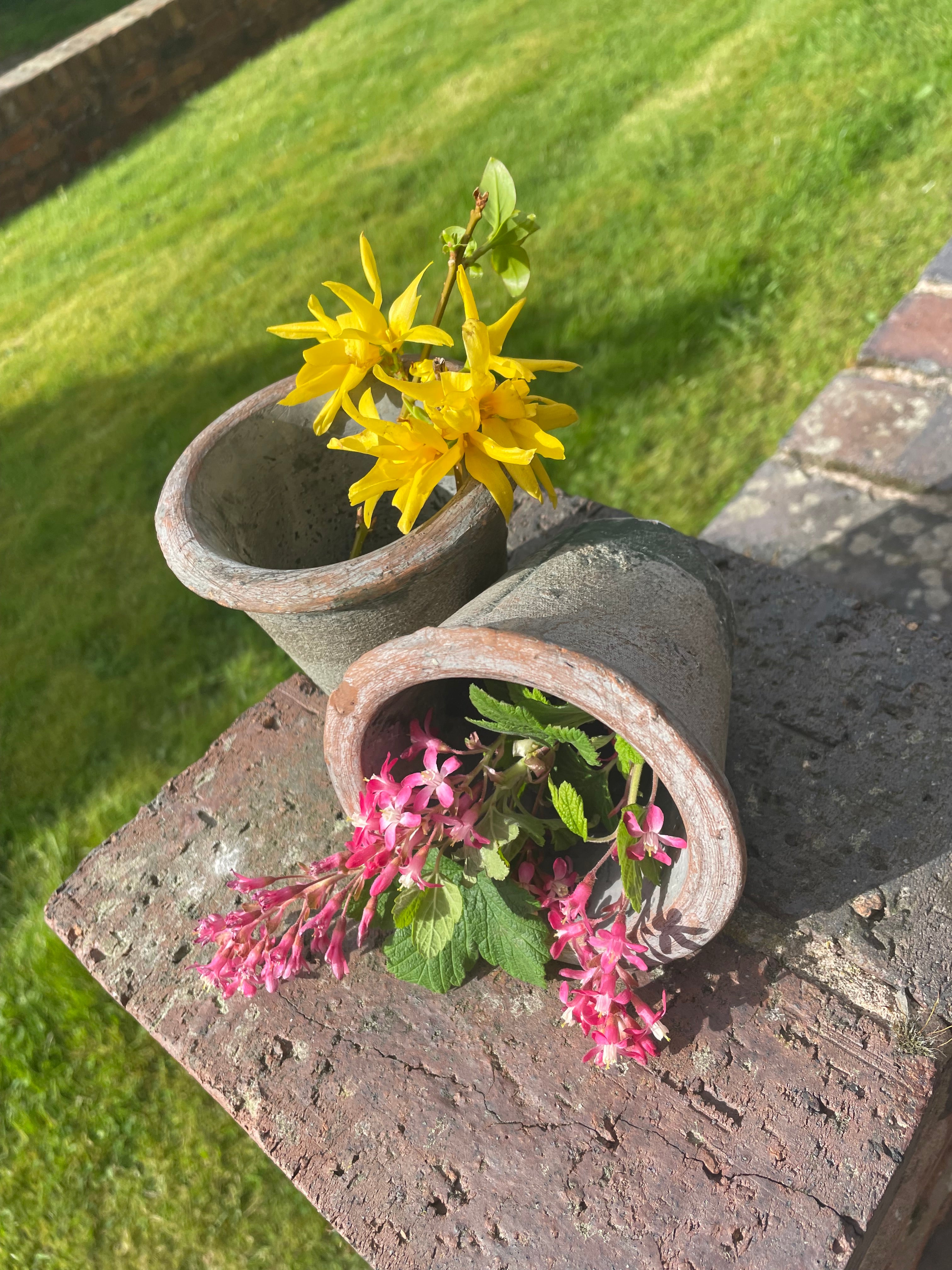 Vintage Casa Verde Cactus Pot|Plant Pot|10x9cms