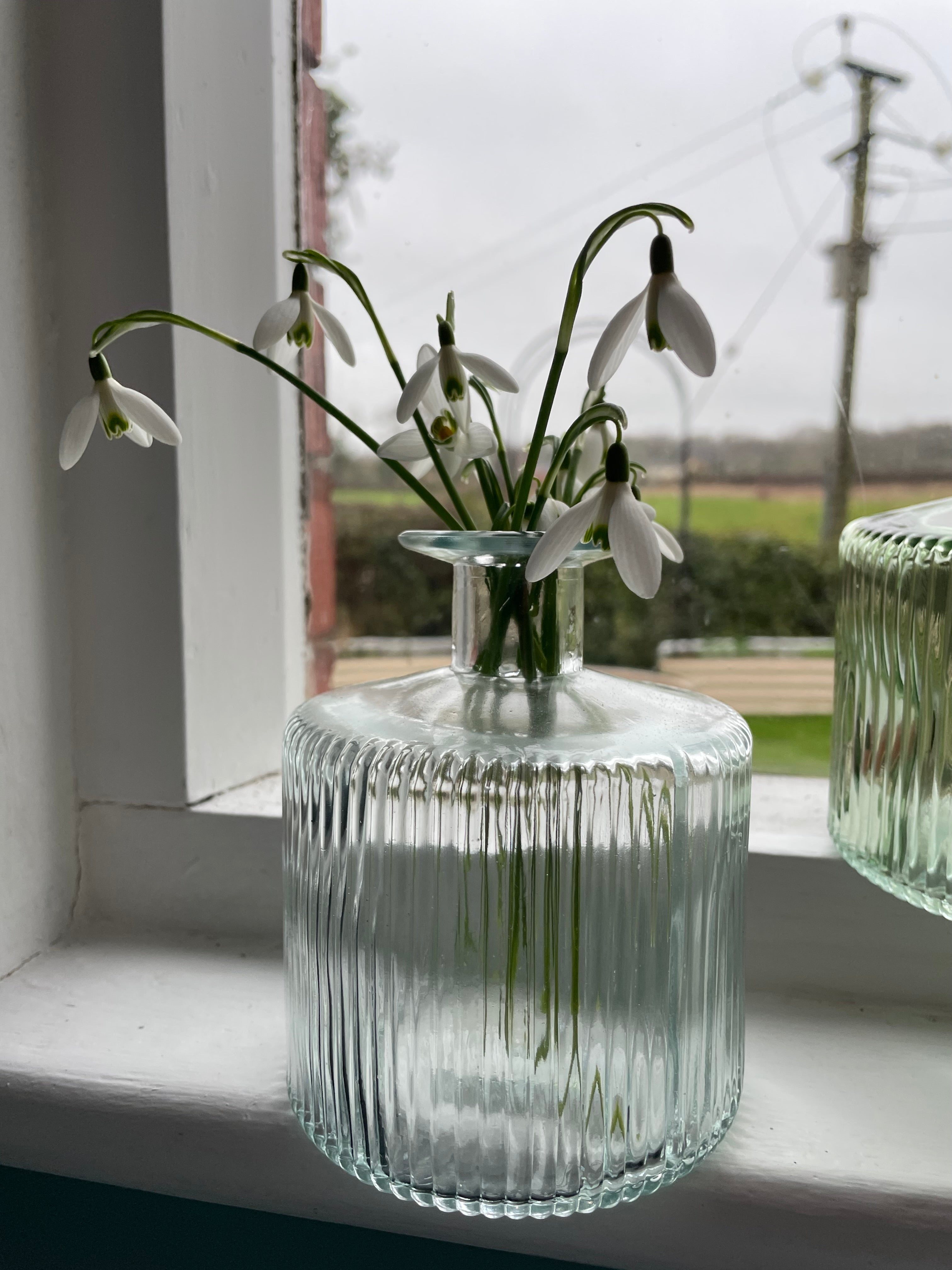 Rustic Bottle/Bud Vase Nico