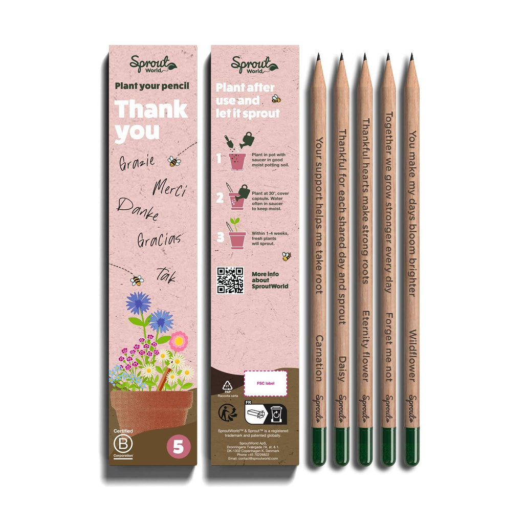 SproutWorld Plantable Pencils | Thank you · 5 pack