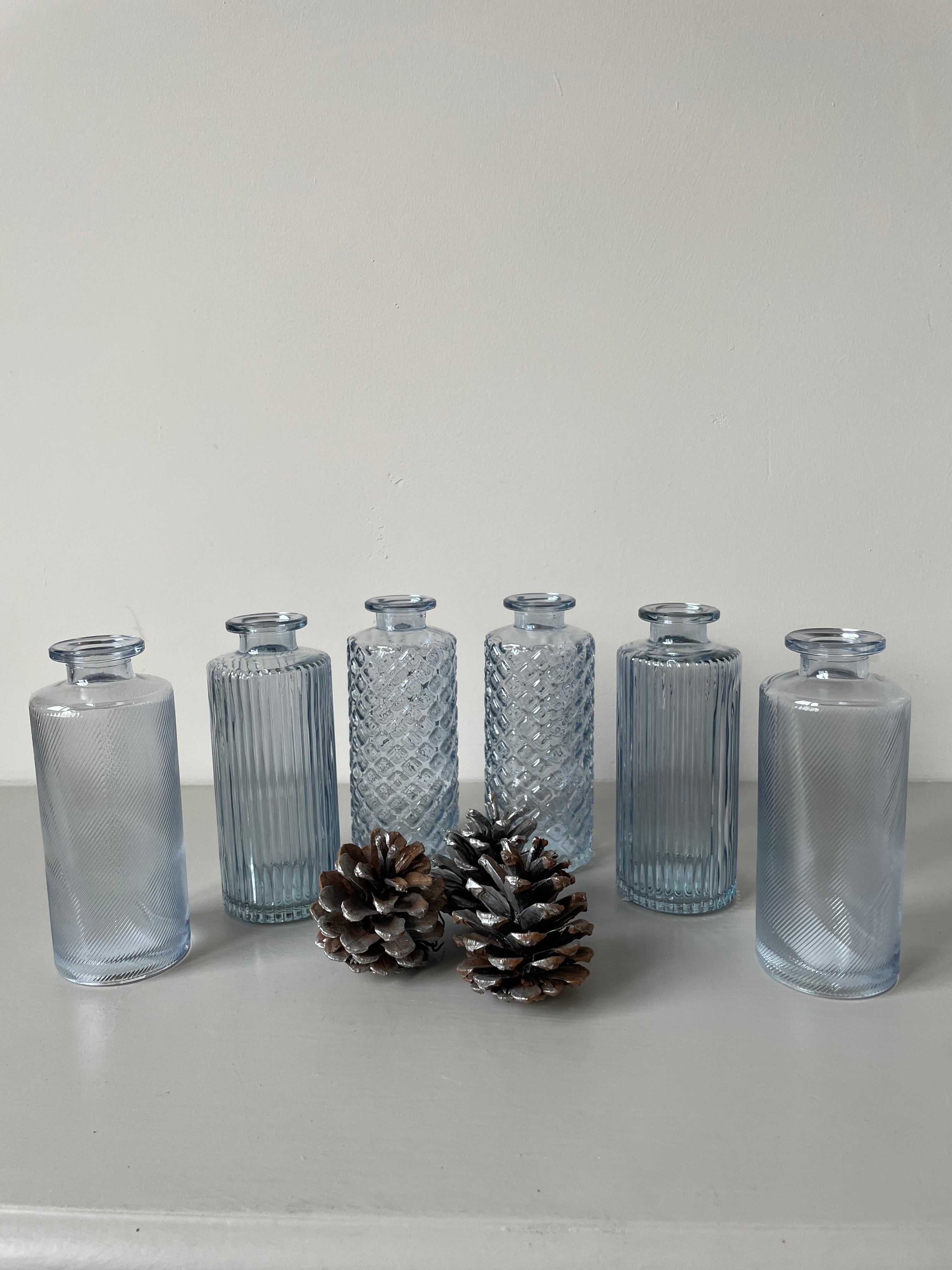 CLEAR GLASS BOTTLE VASES - ALANIS
