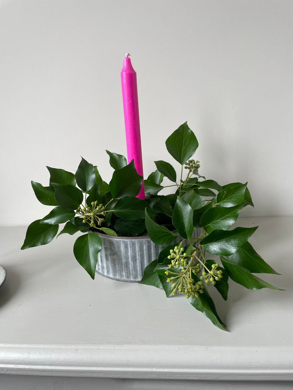 Kew Gardens Round Ribbed Zinc Cactus Planter