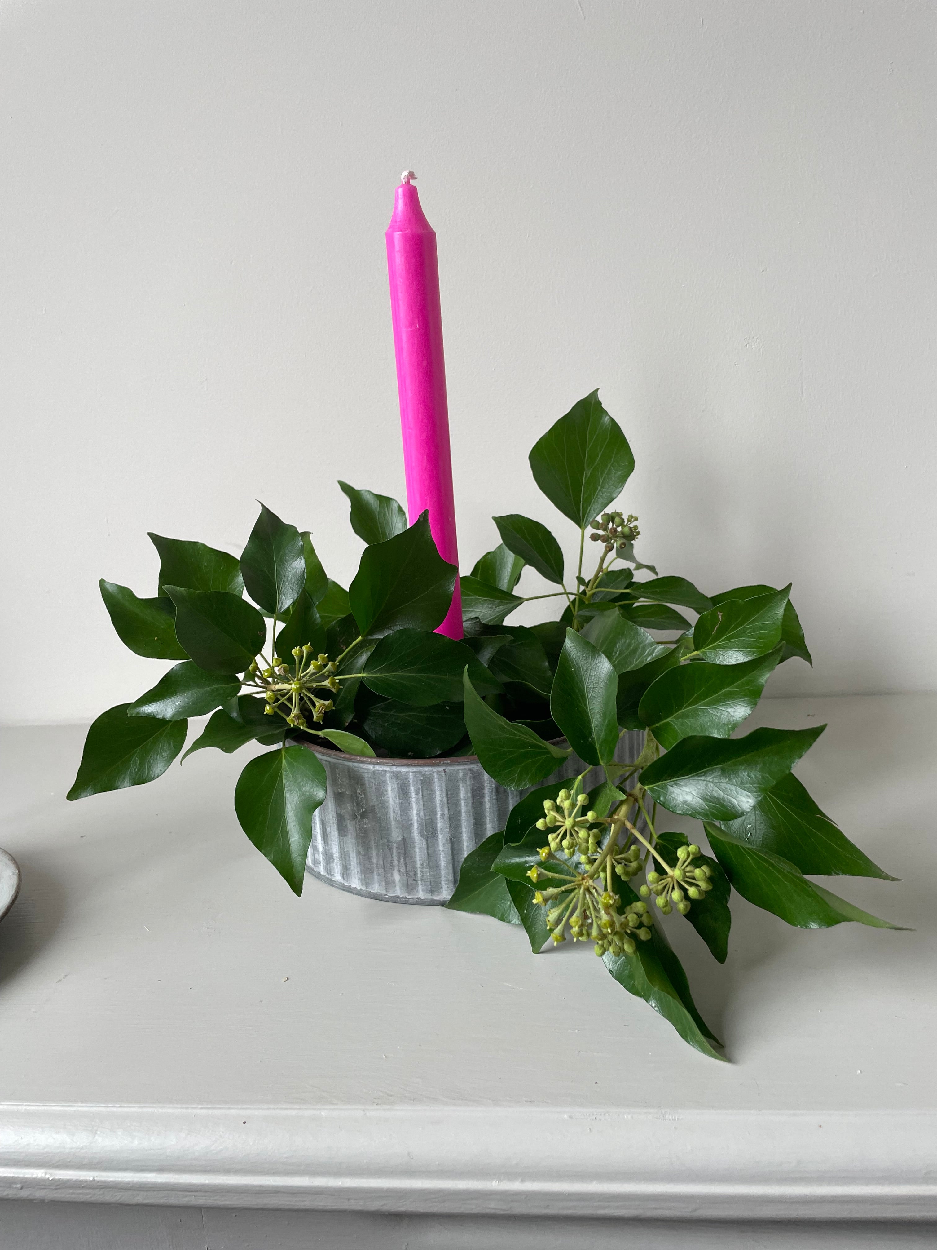 Kew Gardens Round Ribbed Zinc Cactus Planter