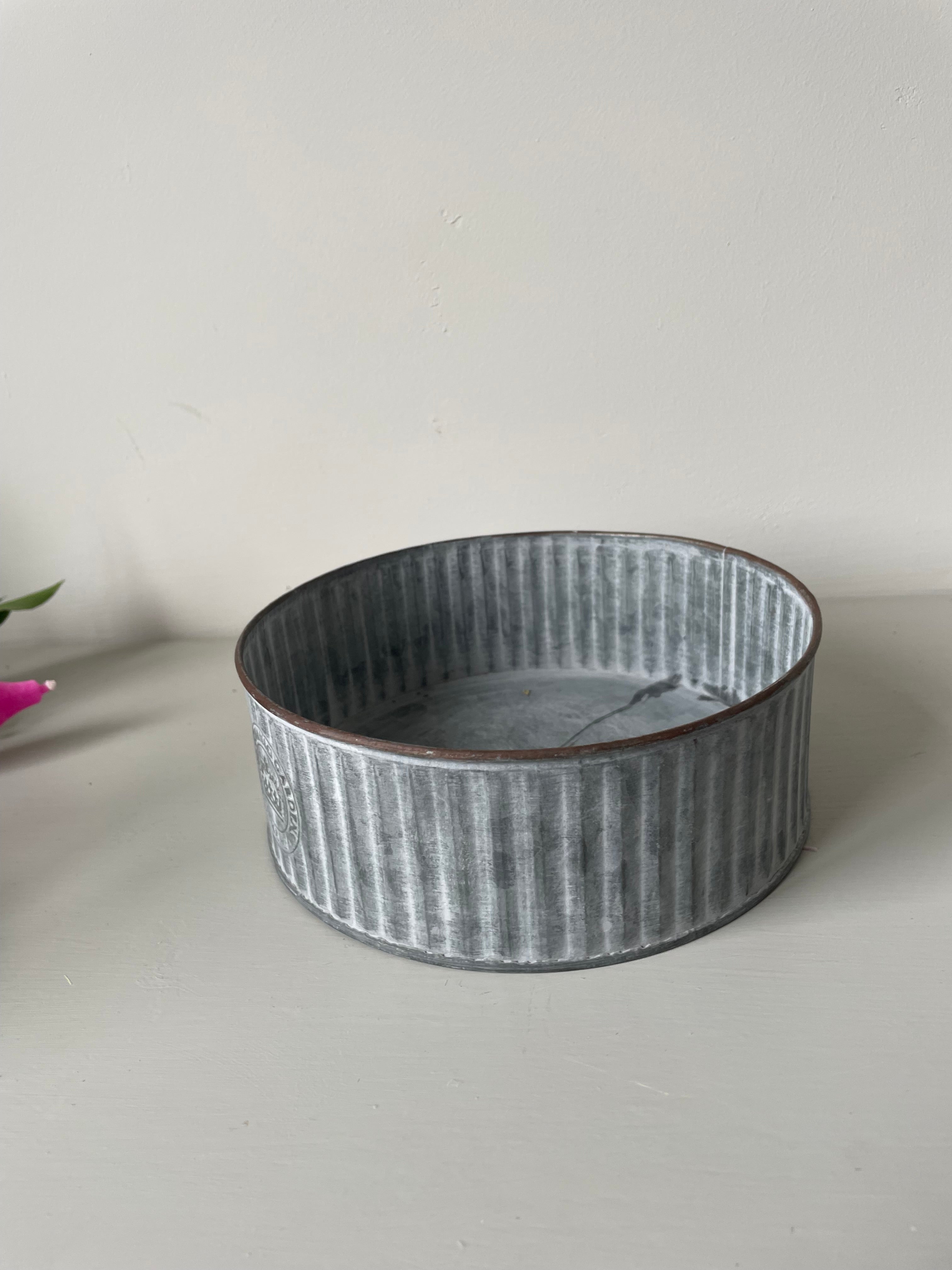 Kew Gardens Round Ribbed Zinc Cactus Planter