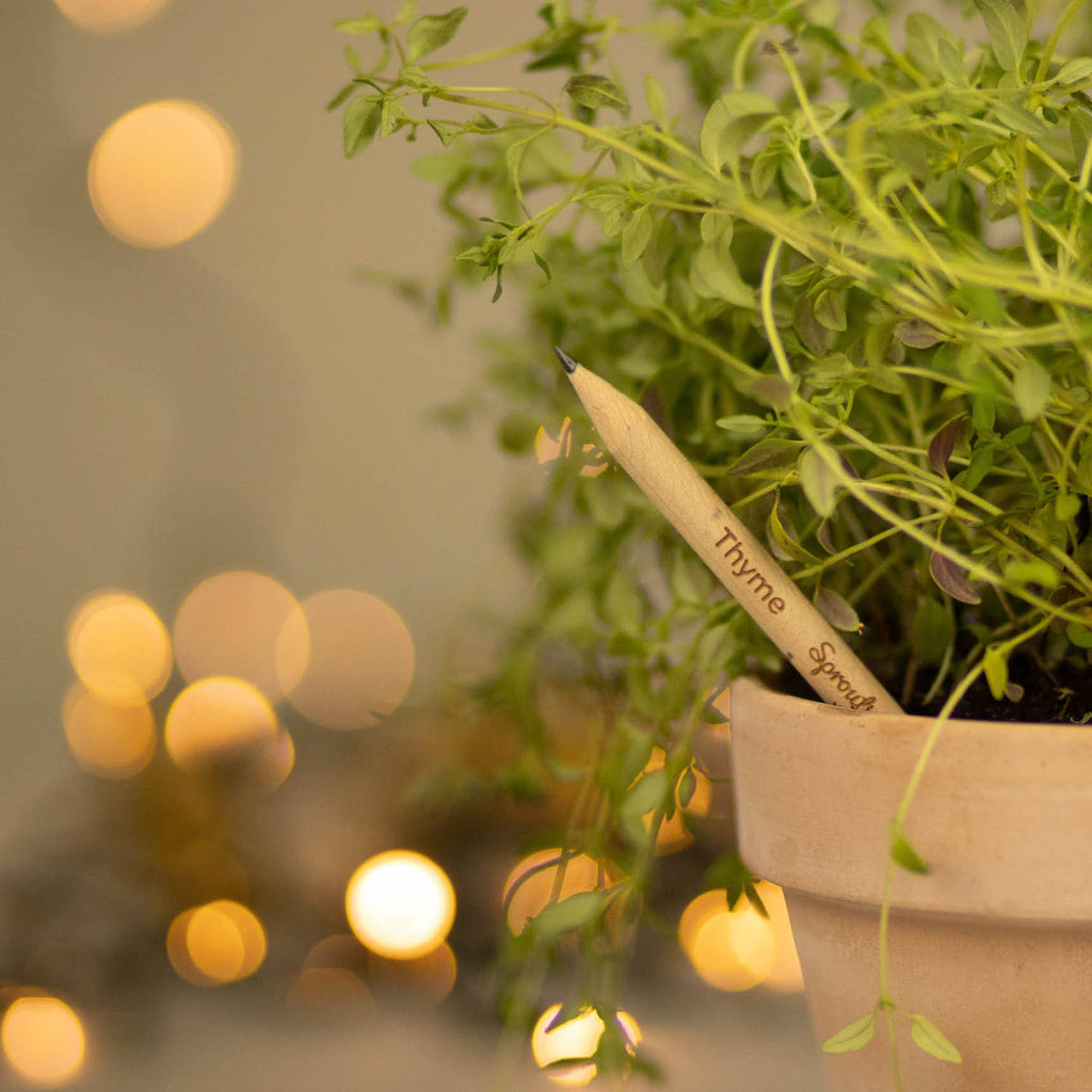 SproutWorld Plantable Pencils | X-mas · 5 pack