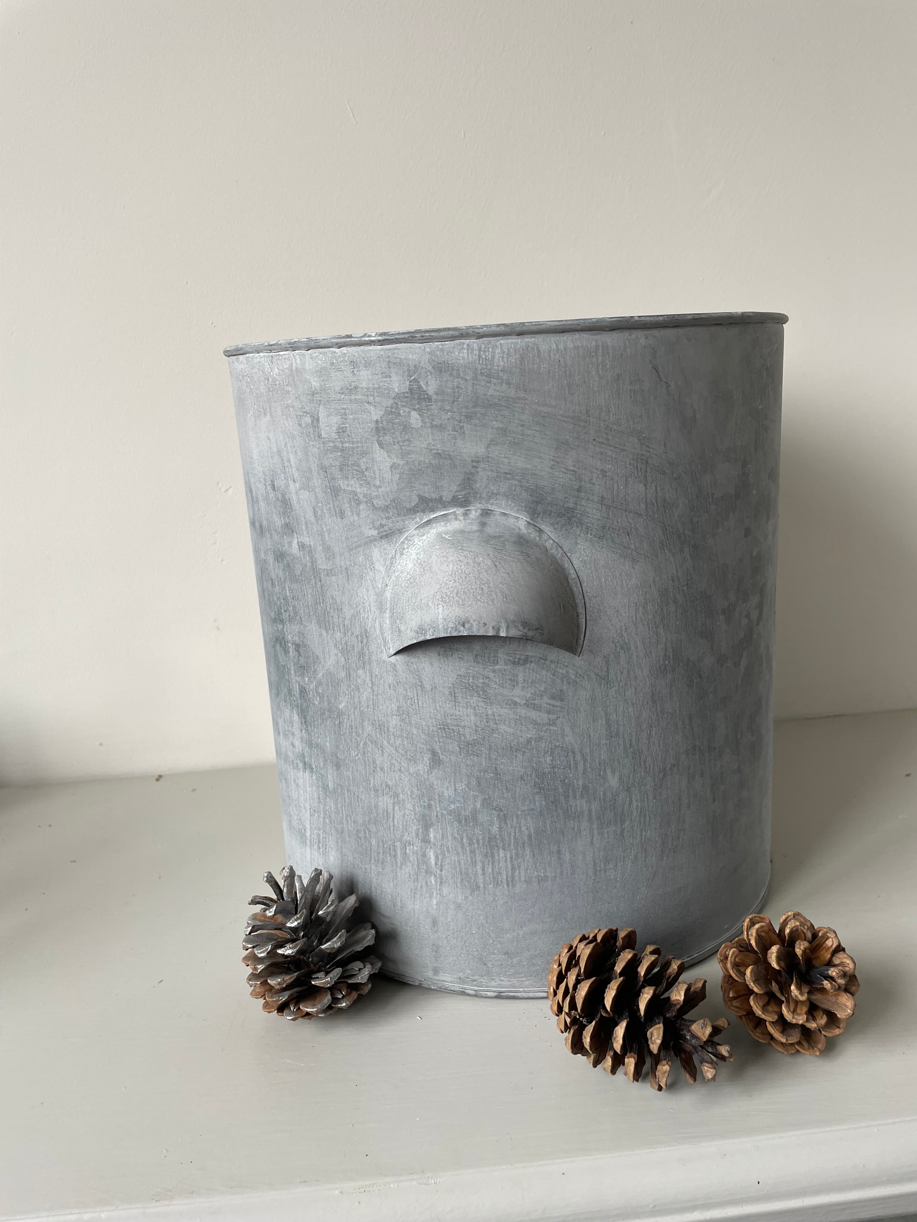 Kew Gardens Zinc Tub | Metal Planter with Handles