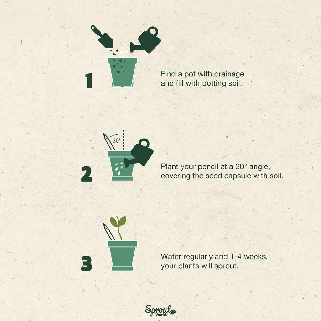 SproutWorld Plantable Pencils | Happy Bee · 5 Pack