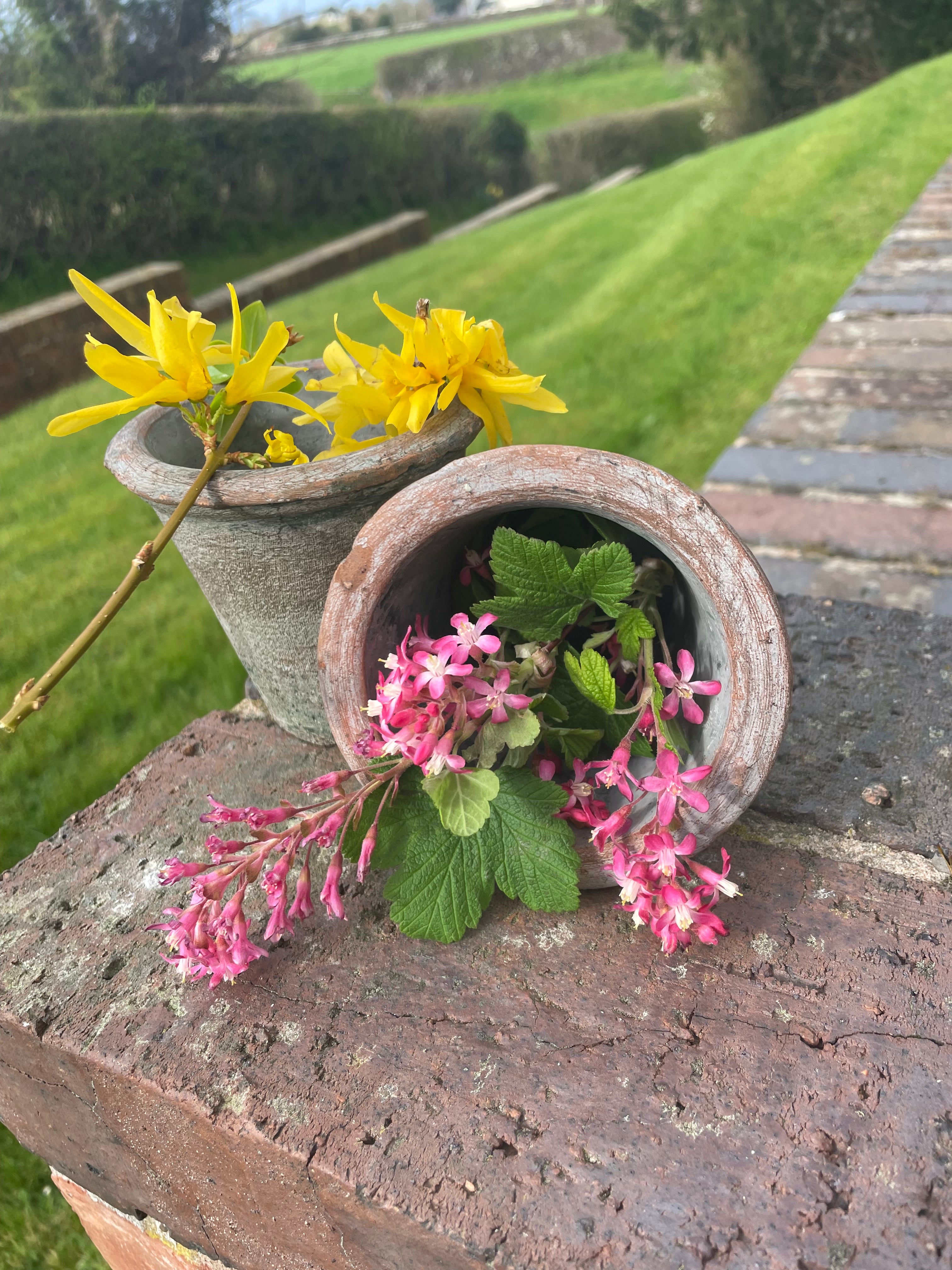 Vintage Casa Verde Cactus Pot|Plant Pot|10x9cms