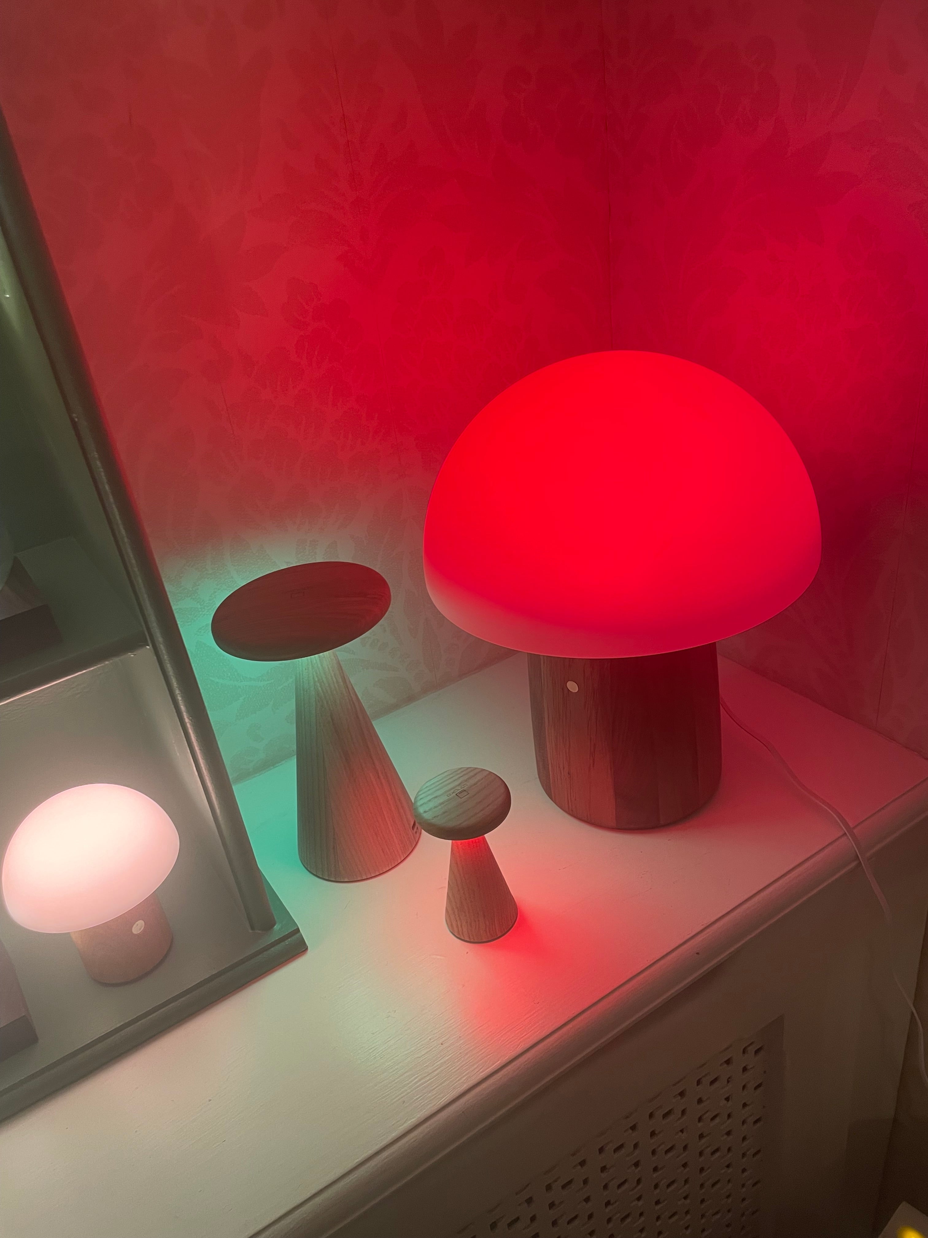 Gingko Super Mini /Mini/Large  Alice Mushroom Lamp – Compact RGB Mood Lamp