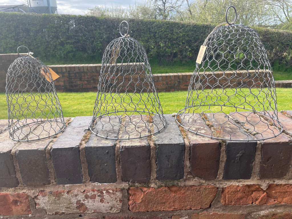 Rustic Garden Zinc Cloche | Plant Protection Cover