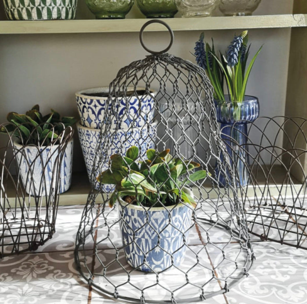 Rustic Garden Zinc Cloche