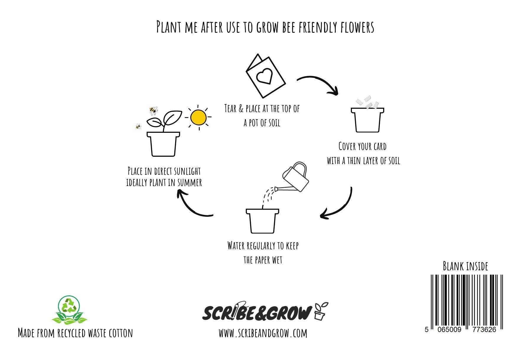 Plantable Greeting Card - Christmas Watercolour trees