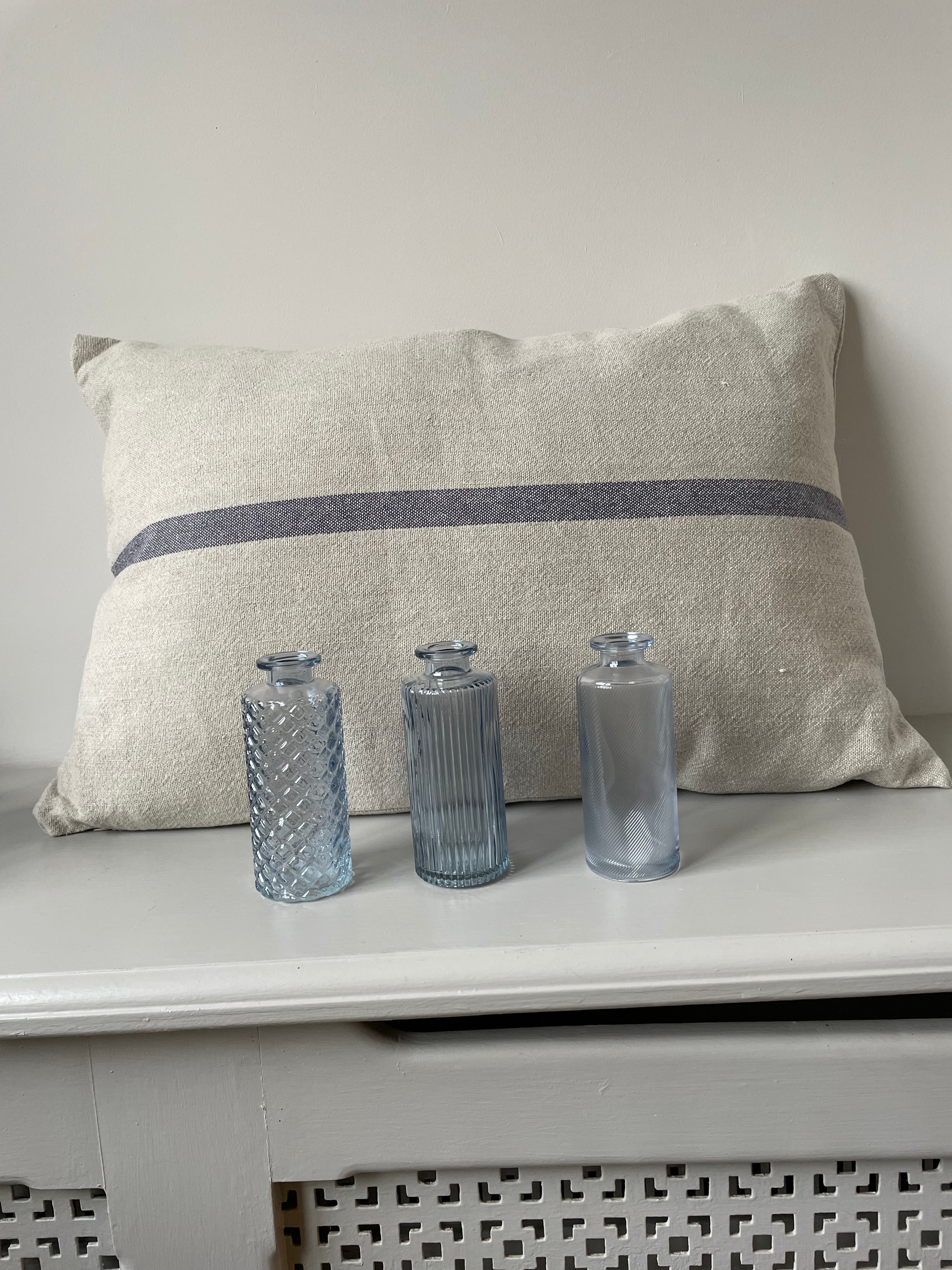 CLEAR GLASS BOTTLE VASES - ALANIS