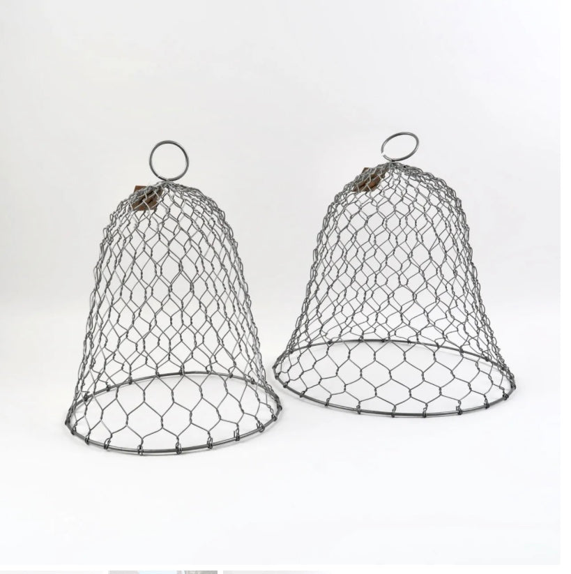 Zinc Garden Cloche – Medium