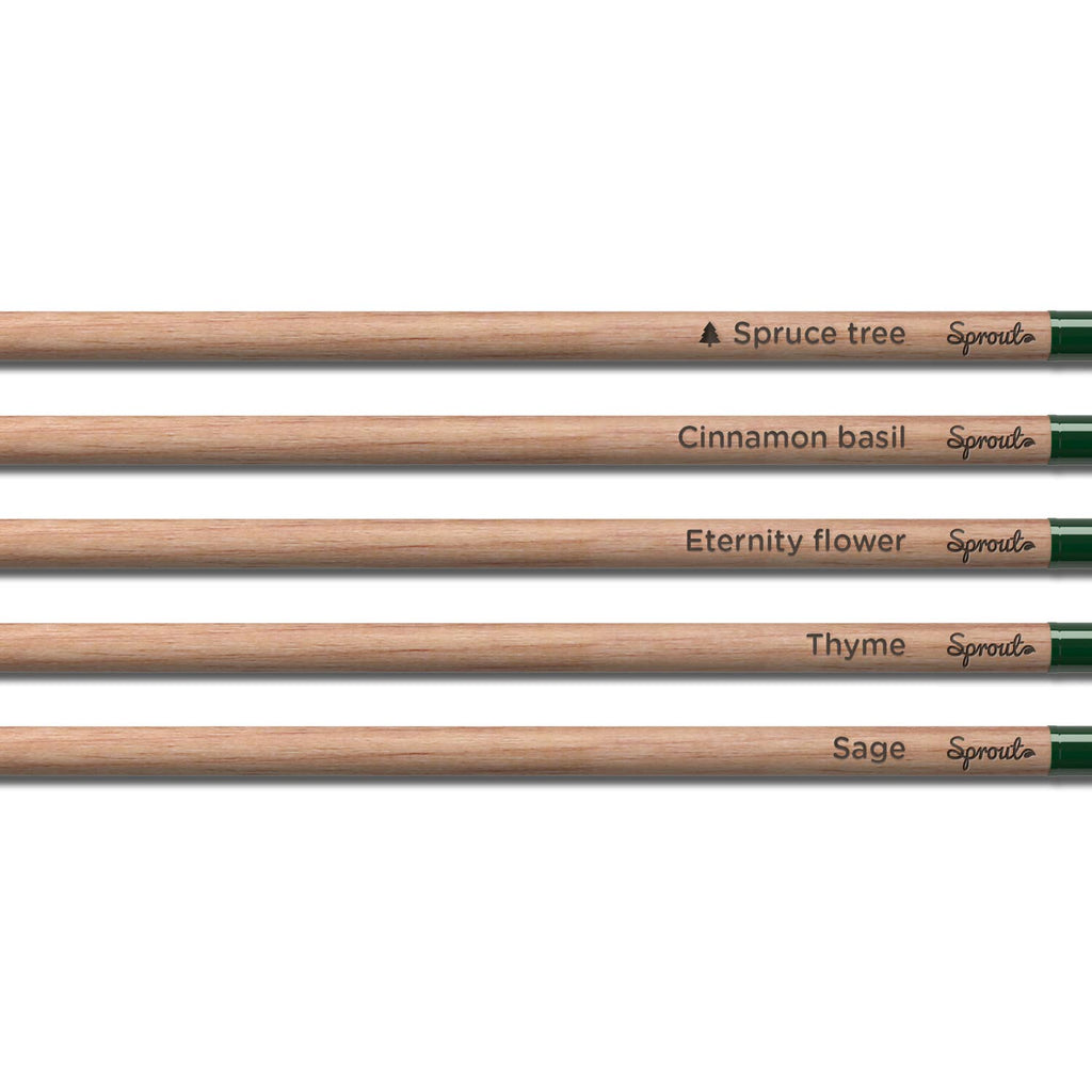 SproutWorld Plantable Pencils | X-mas · 5 pack
