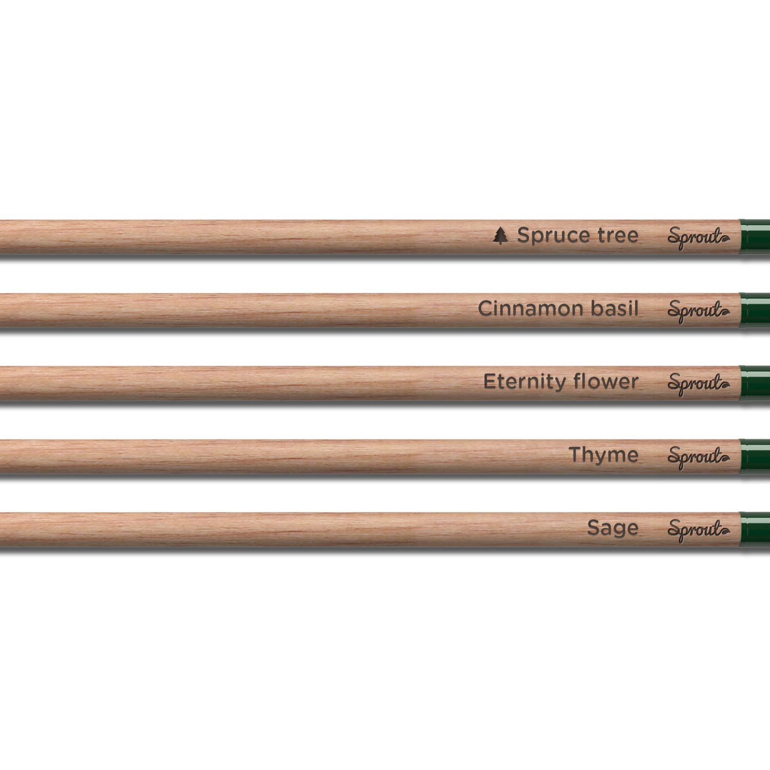SproutWorld Plantable Pencils | X-mas · 5 pack