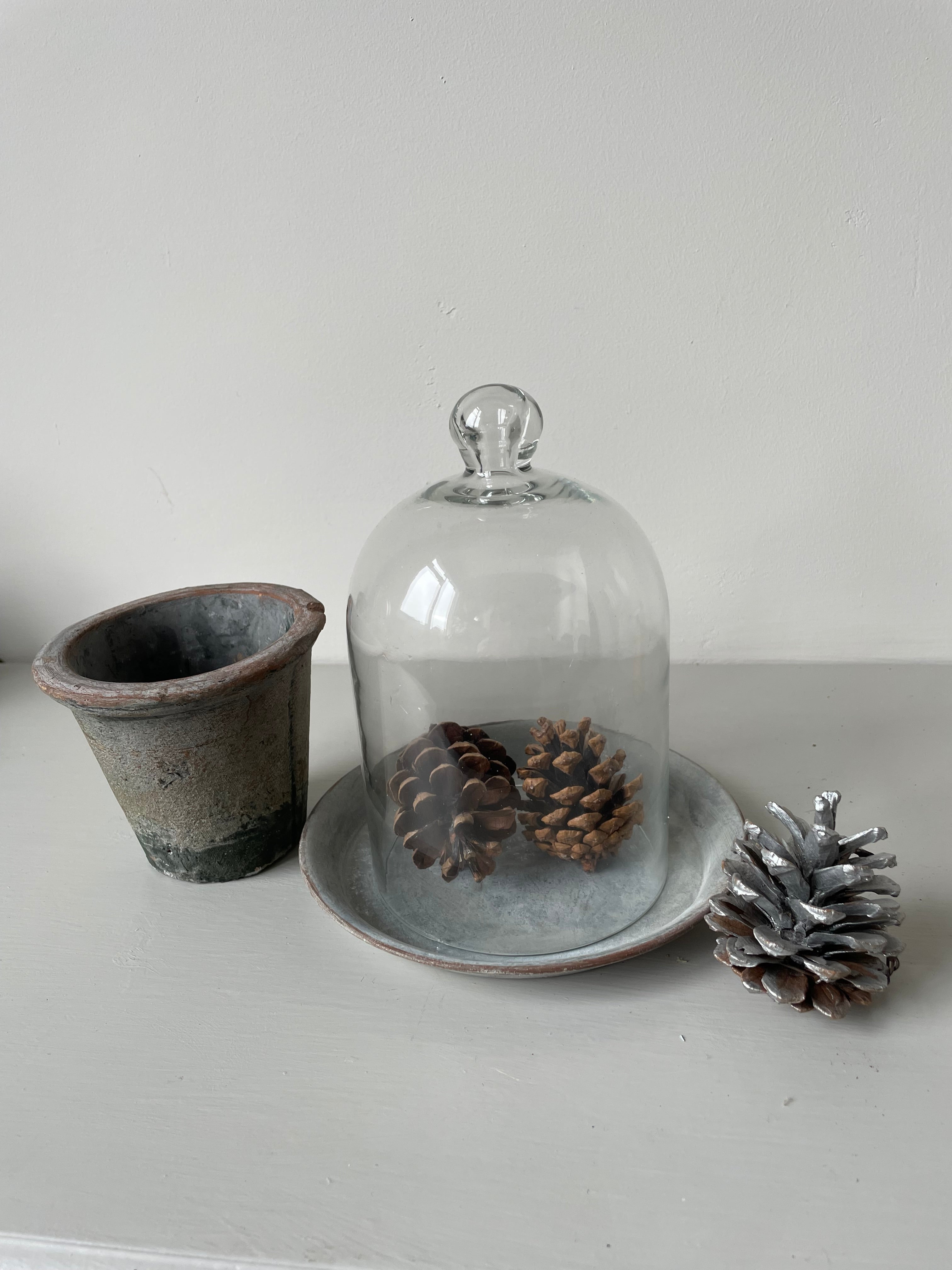 GLASS BELL JAR 11x17cm