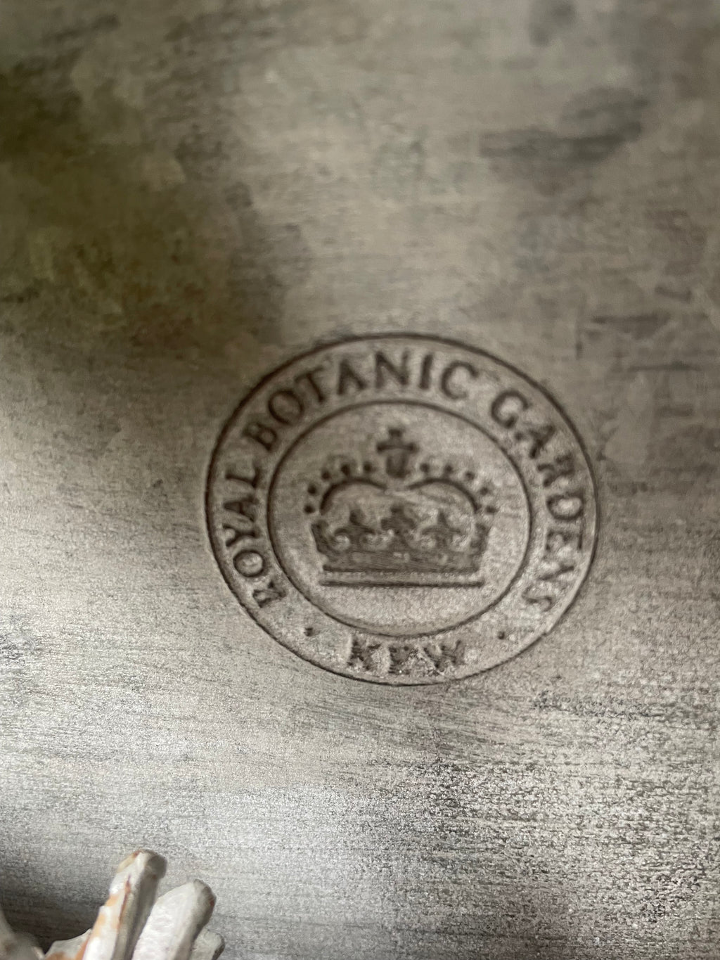 Kew Gardens Zinc Planter |Oval Metal Plant Pot|With handles