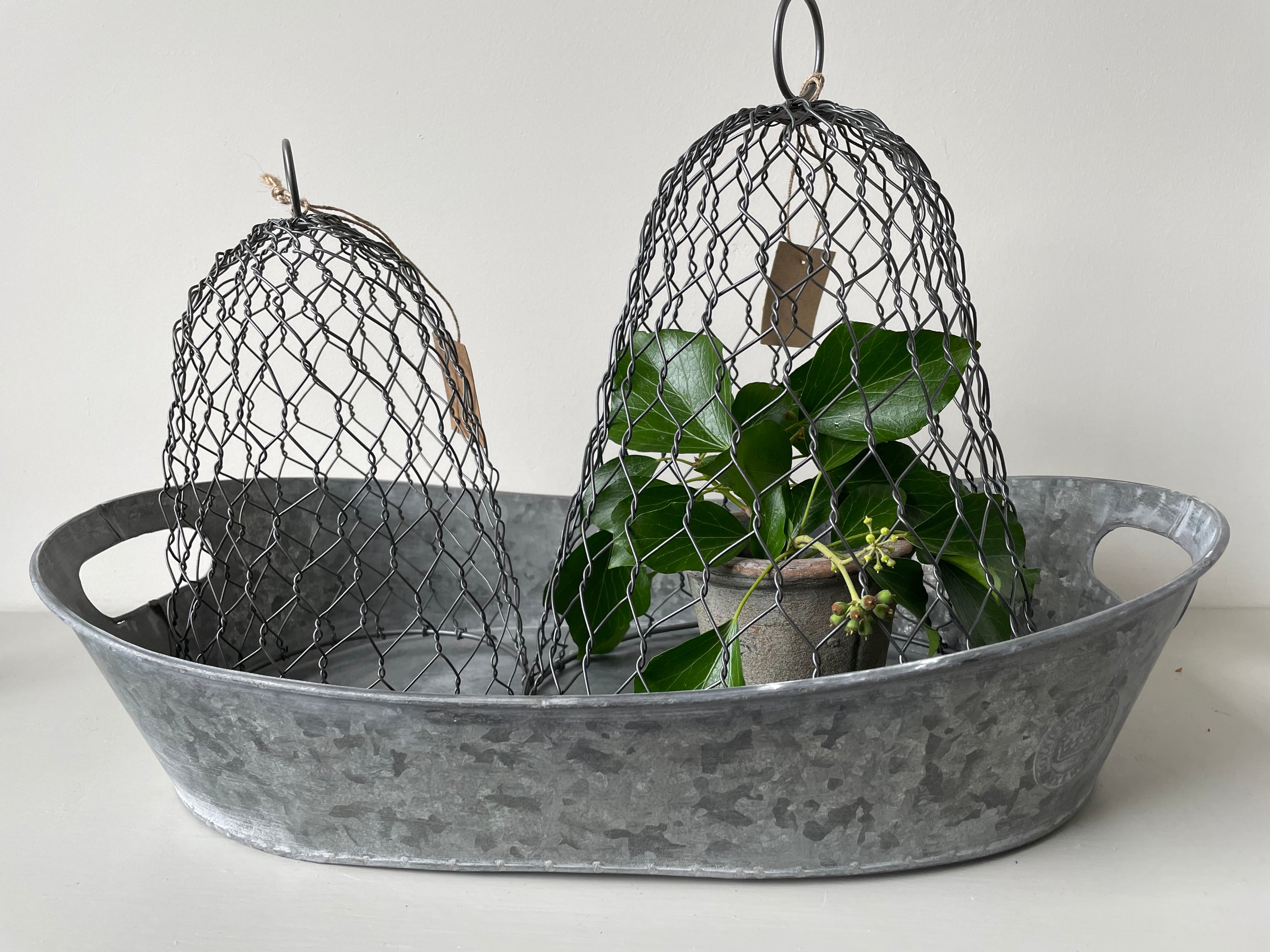 KEW GARDENS ZINC OVAL GARDEN TRAY