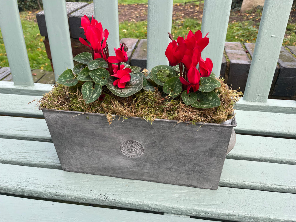 Kew Gardens Rectangular Planter|Zinc Metal Plant Pot|with handles