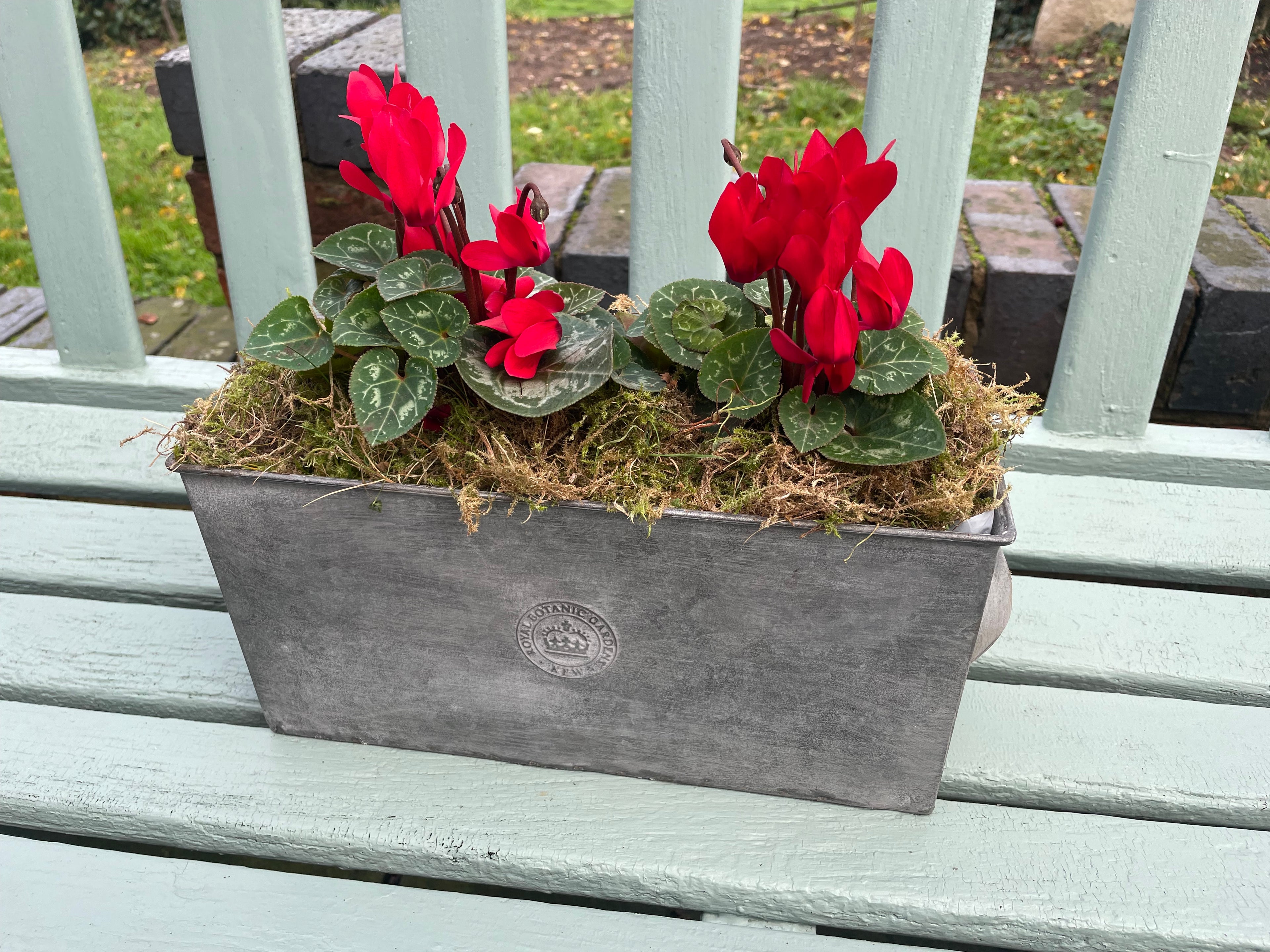 Kew Gardens Rectangular Planter|Zinc Metal Plant Pot|with handles