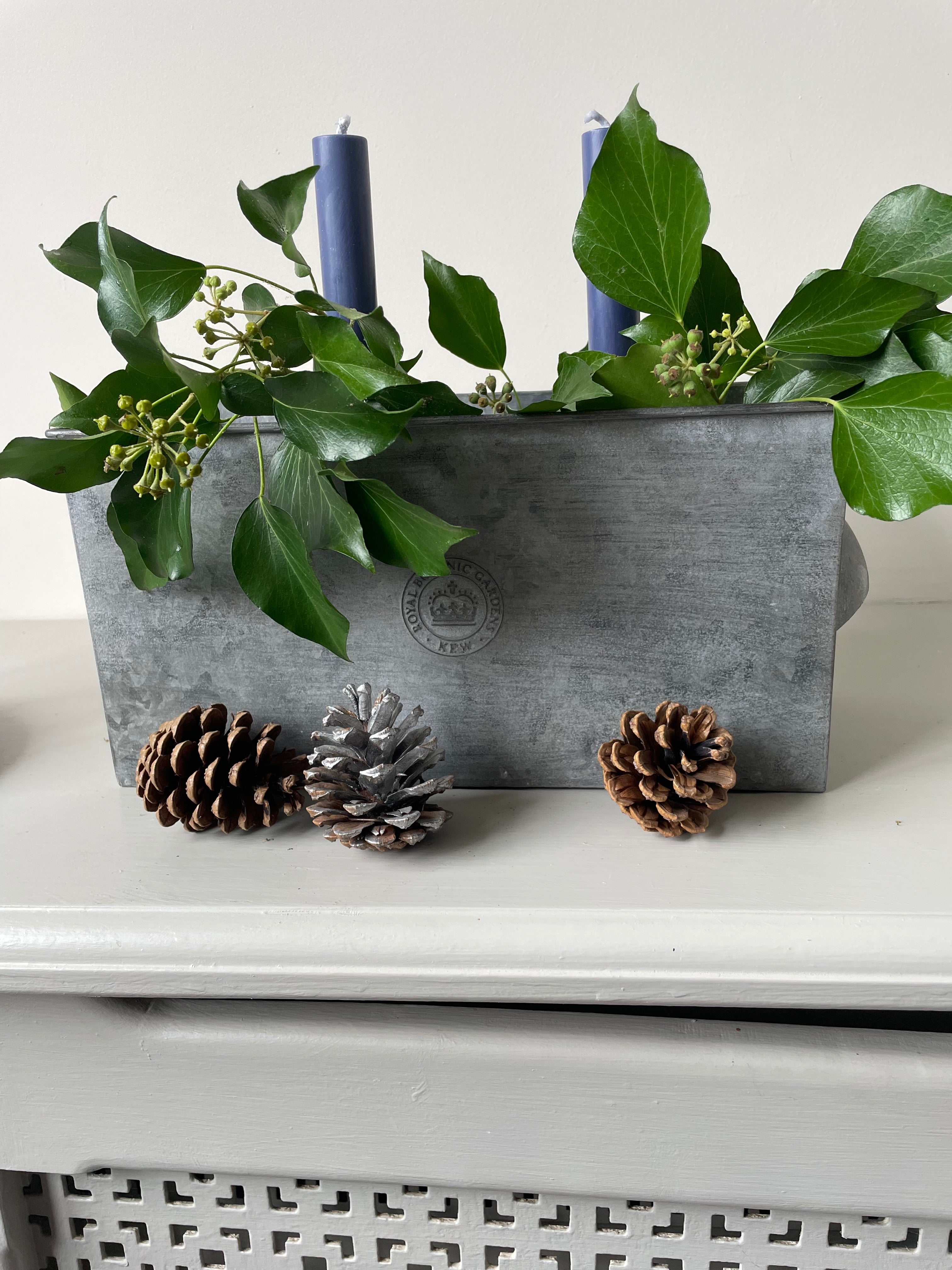 Kew Gardens Rectangular Planter|Zinc Metal Plant Pot|with handles