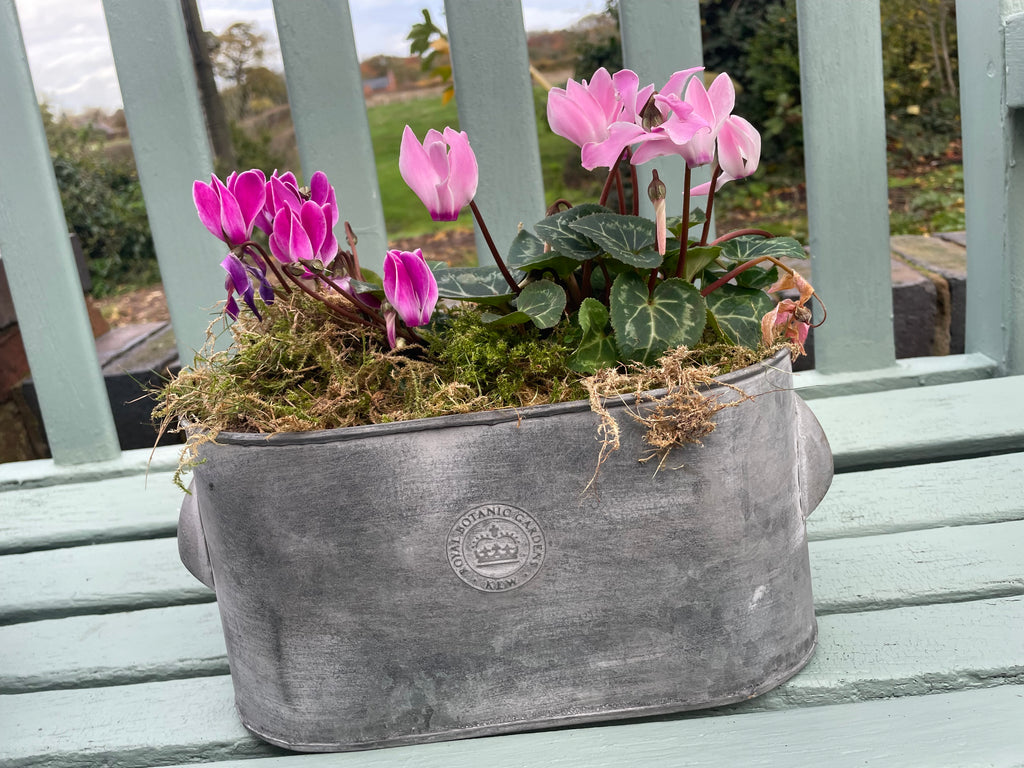 Kew Gardens Zinc Planter |Oval Metal Plant Pot|With handles