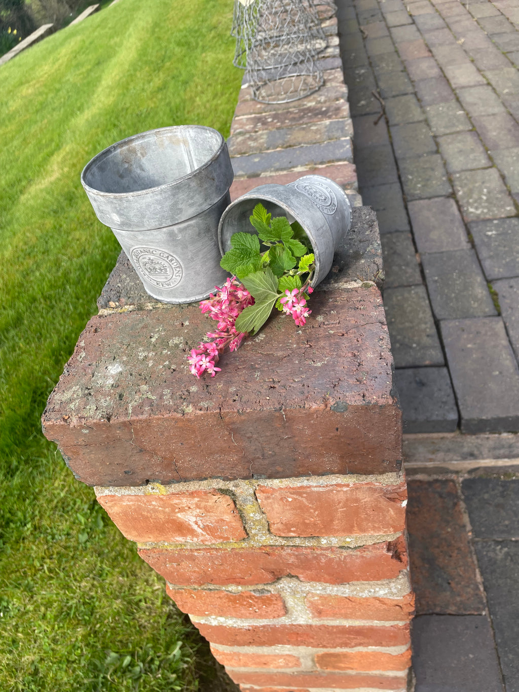 Kew Gardens Zinc pot|Metal Planter|With Rim