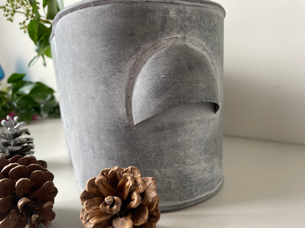 Kew Gardens Zinc Planter |Oval Metal Plant Pot|With handles