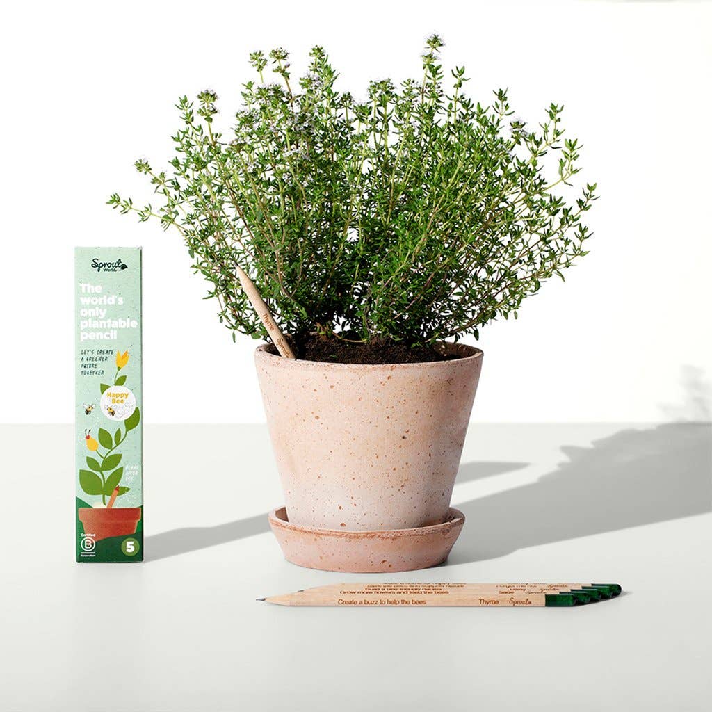 SproutWorld Plantable Pencils | Happy Bee · 5 Pack