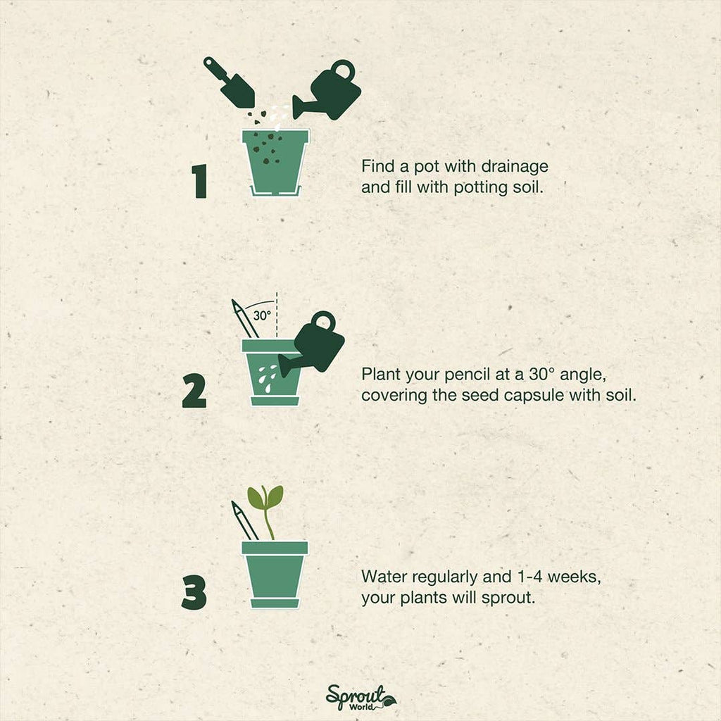 SproutWorld Plantable Pencils | Thank you · 5 pack